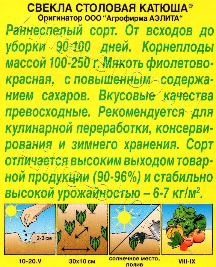 Свекла столовая Катюша 3г