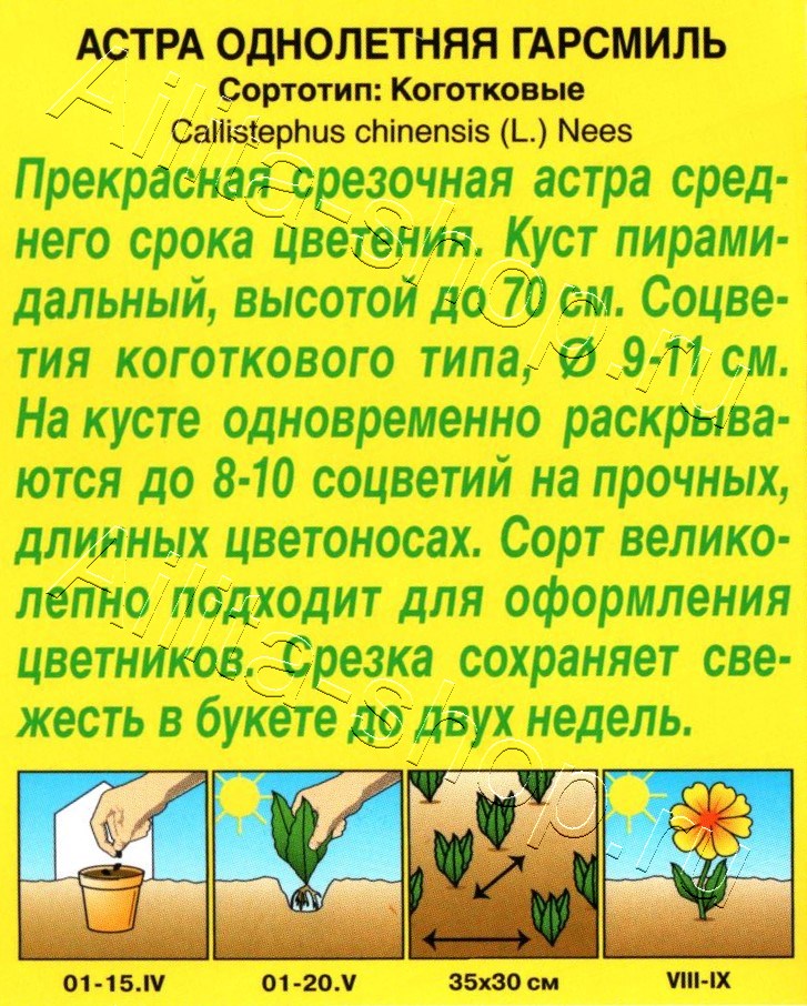 Астра Гарсмиль коготковая 0,2г