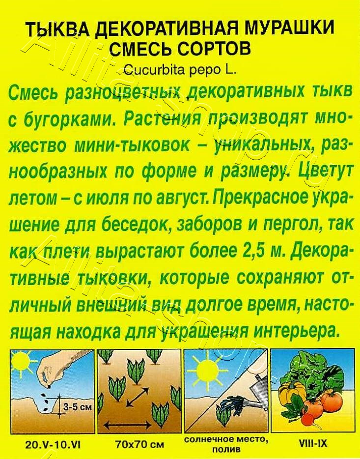 Тыква декоративная Мурашки, смесь сортов 1г