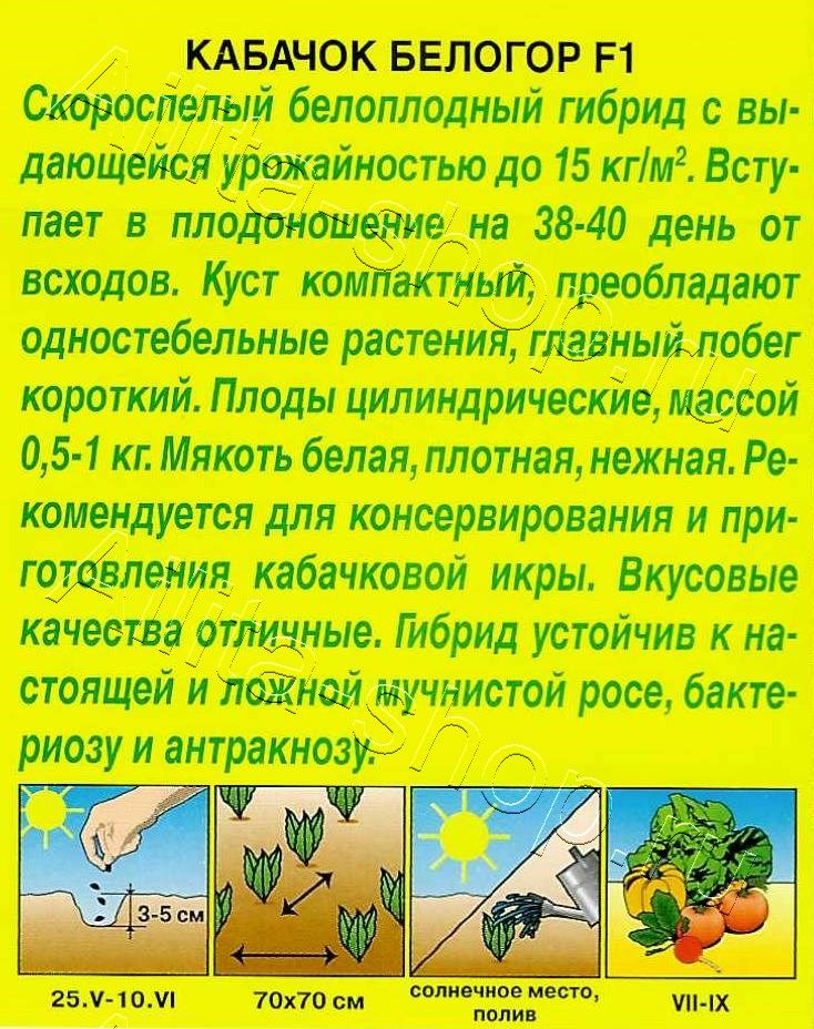 Кабачок белоплодный Белогор F1 1г