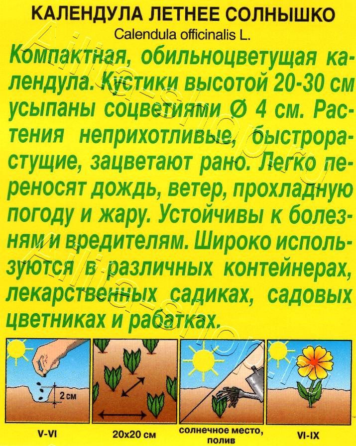 Календула Летнее солнышко 0,3г