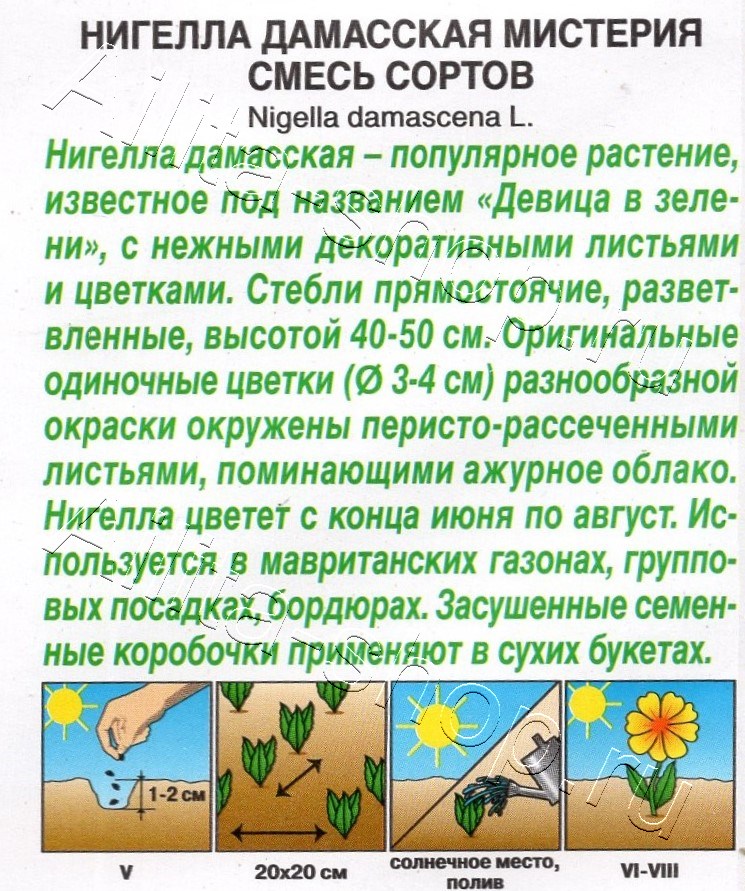 Нигелла Мистерия, смесь сортов 0,3г