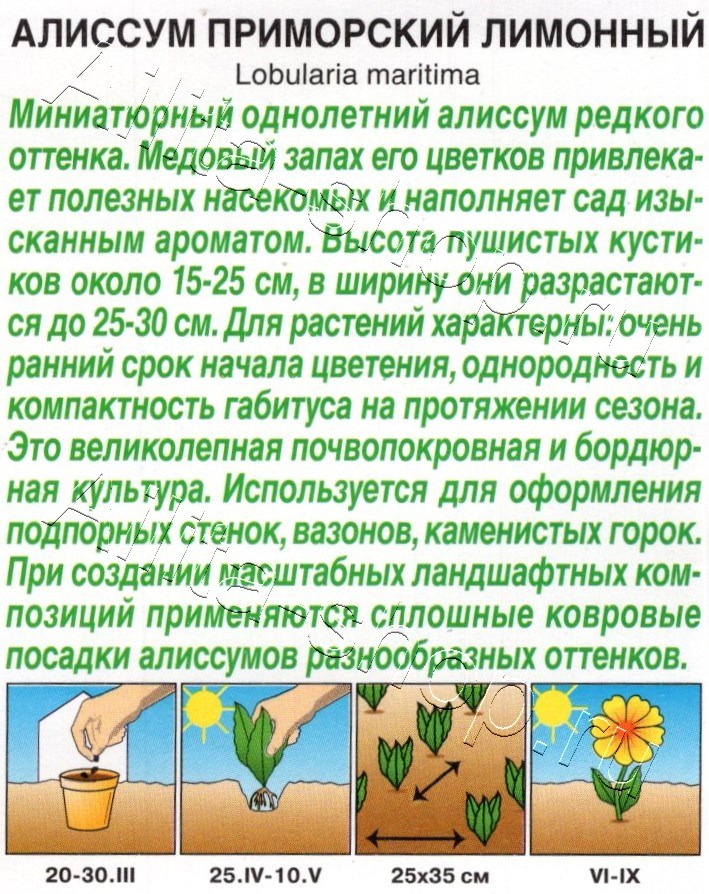 Алиссум приморский Лимонный 0,1г