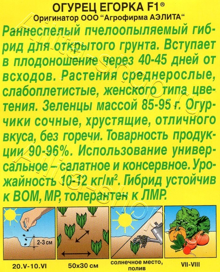 Огурец Егорка F1 10шт