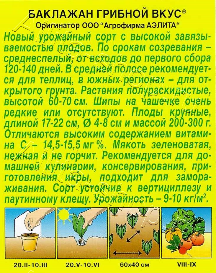 Баклажан Грибной вкус 0,1г