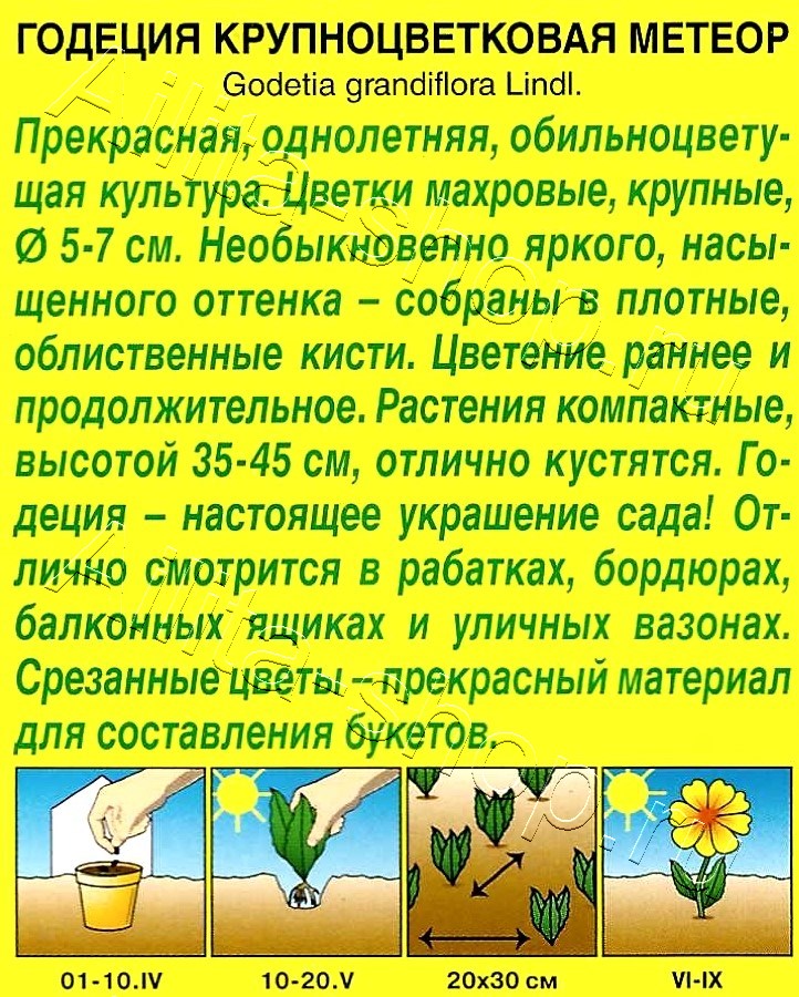 Годеция Метеор крупноцветковая 0,05г
