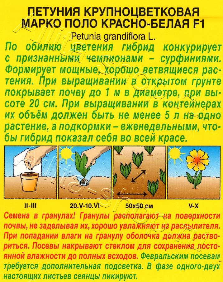 Петуния Марко Поло F1 красно-белая 7шт