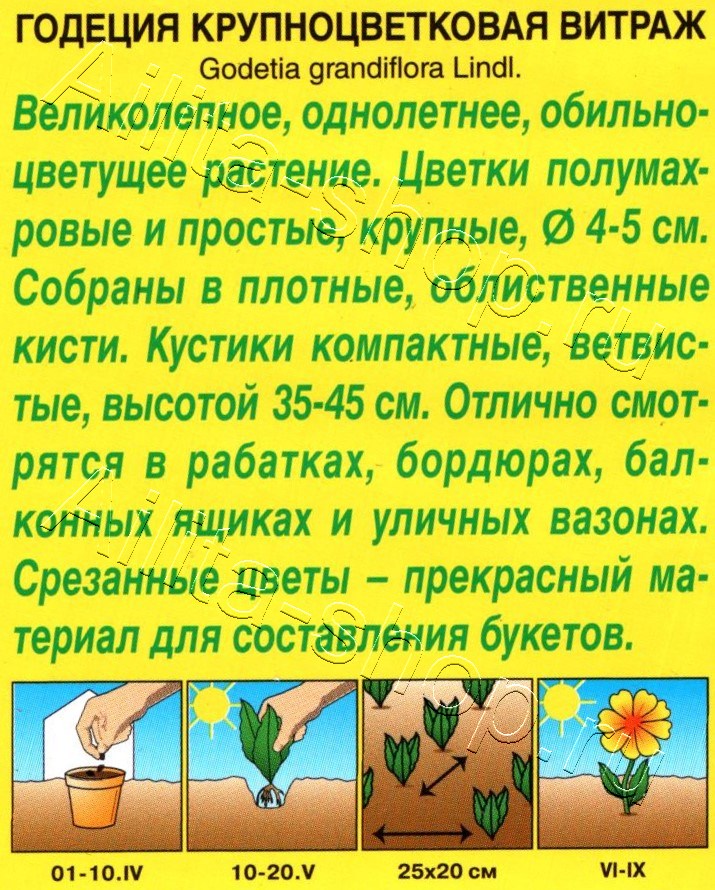 Годеция Витраж крупноцветковая 0,05г