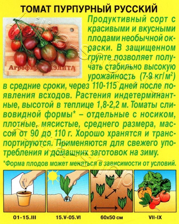 Томат Пурпурный русский 20шт