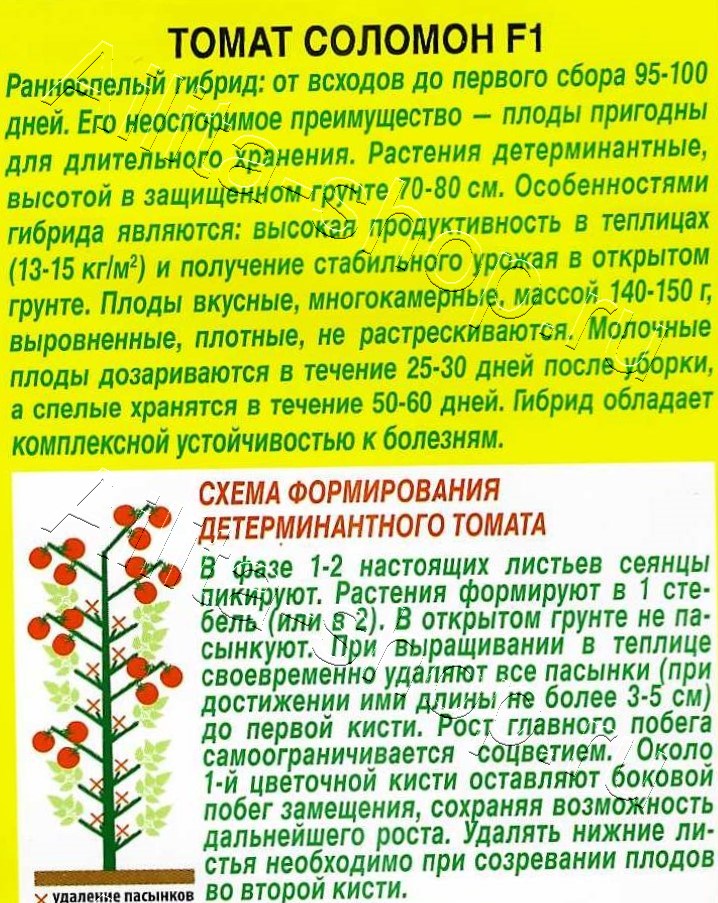 Томат Соломон F1 15шт