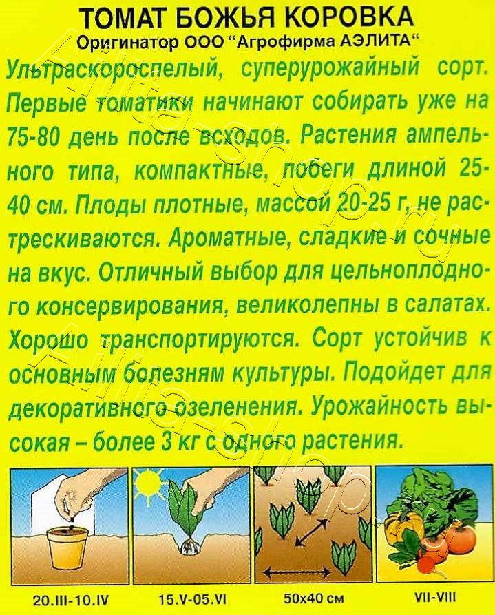 Томат Божья коровка 20шт