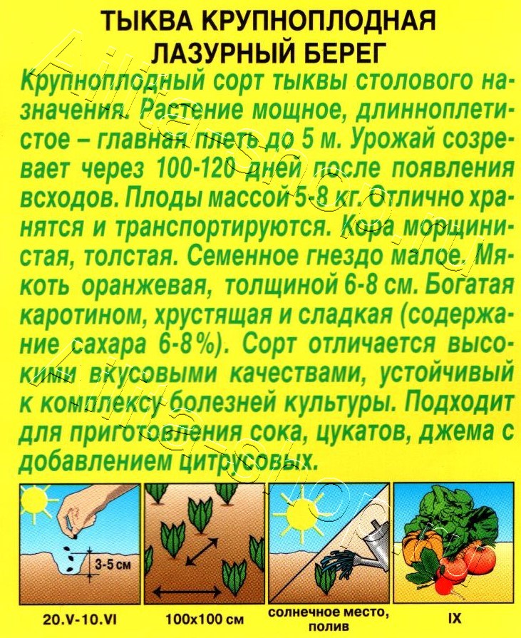 Тыква крупноплодная Лазурный берег 2г