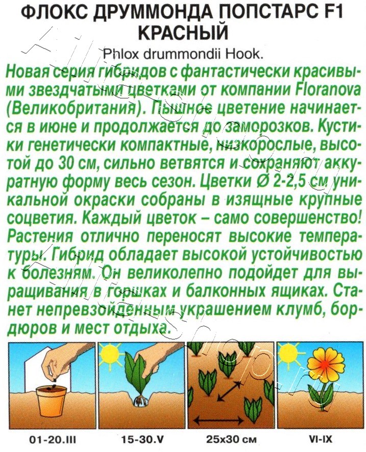 Флокс друммонда Попстарс F1 красный 5шт