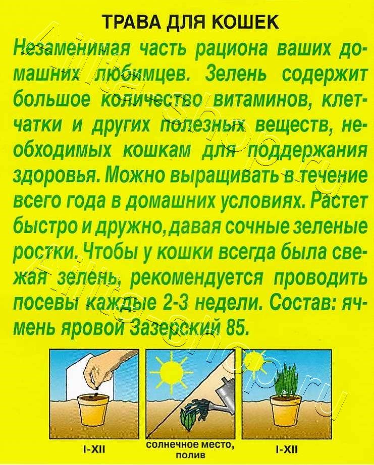 Трава для кошек 20г