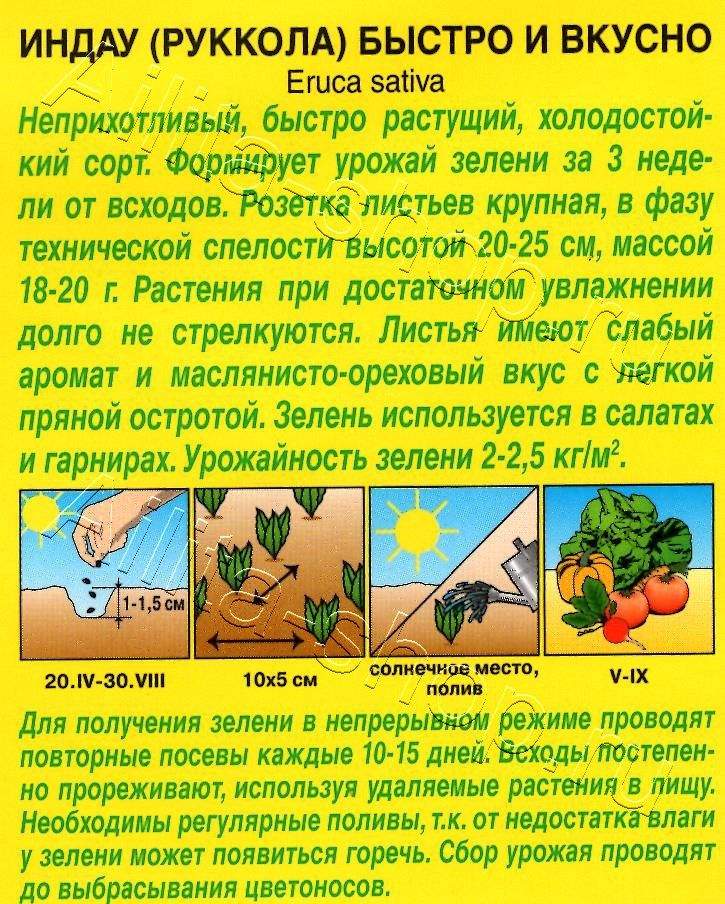 Индау (руккола) Быстро и вкусно 0,3г