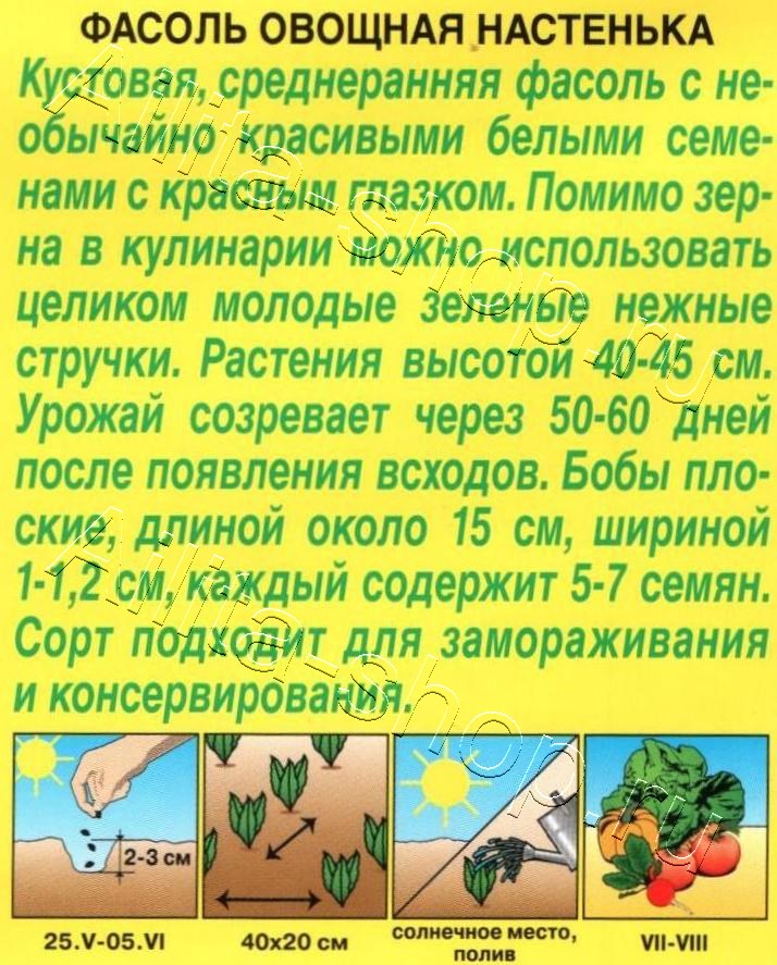 Фасоль овощная Настенька 5г