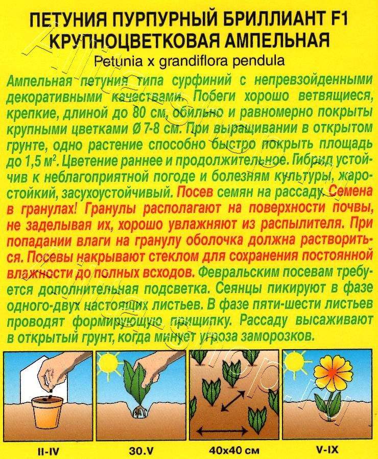 Петуния Пурпурный бриллиант F1 крупноцветковая ампельная 5шт