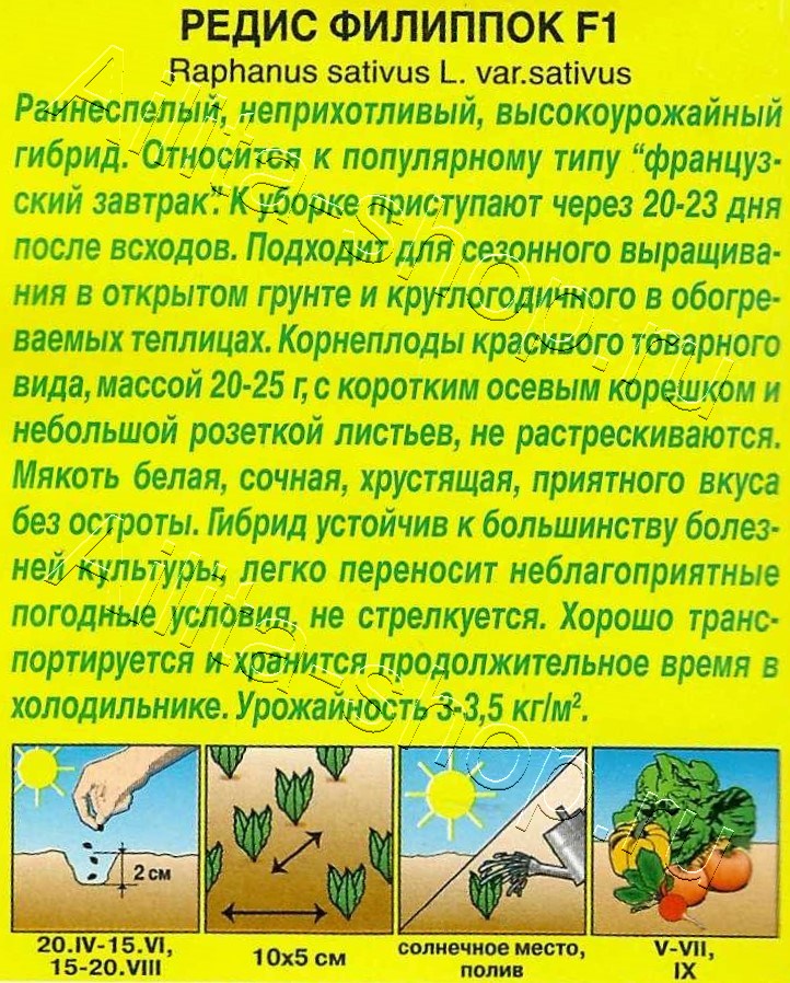 Редис Филиппок F1 1г