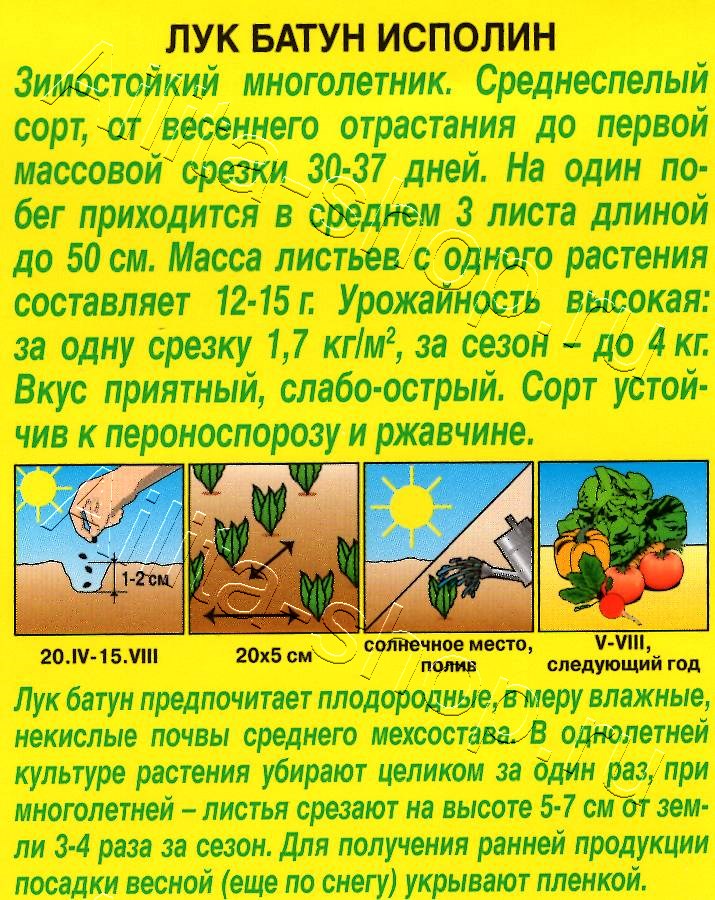 Лук батун Исполин 0,5г