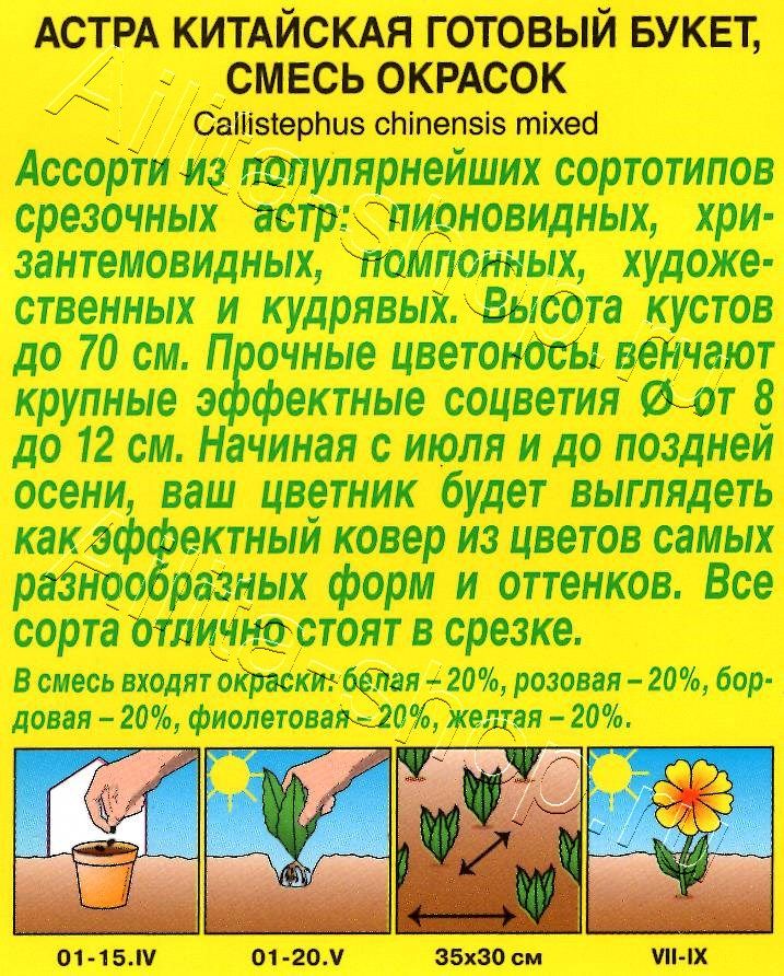 Астра Готовый букет, смесь окрасок 0,2г