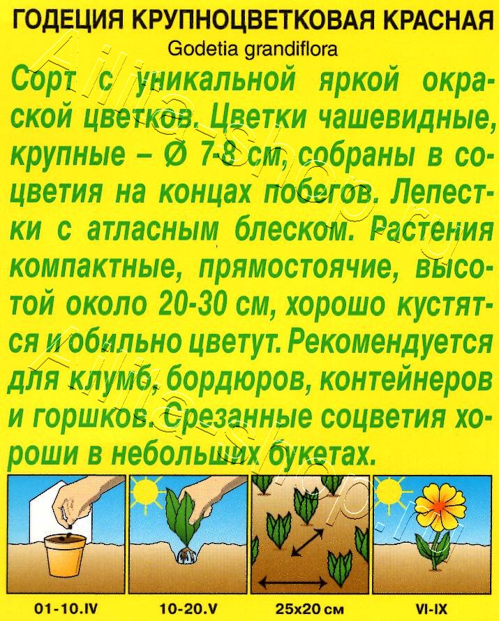 Годеция красная 0,05г