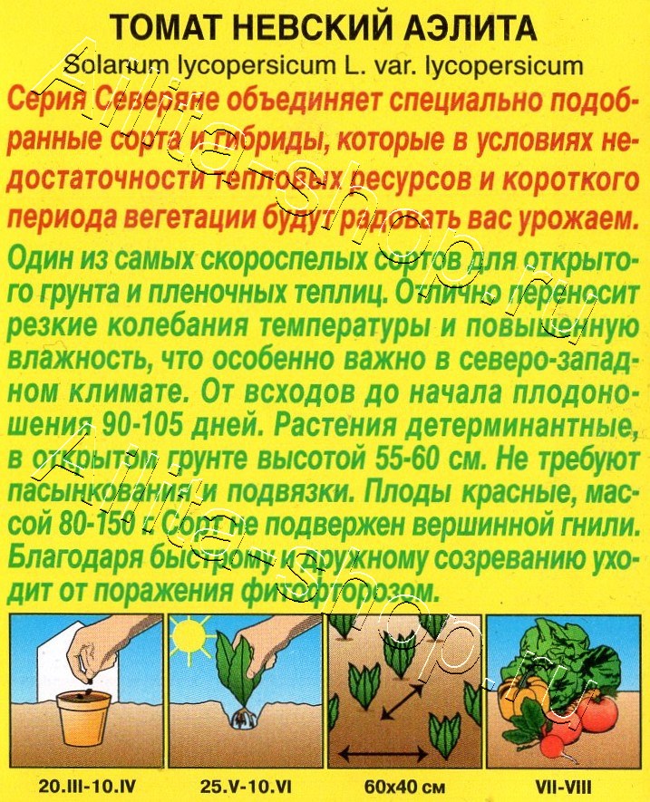 Томат Невский Аэлита 10шт