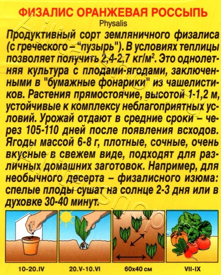 Физалис Оранжевая россыпь 0,2г