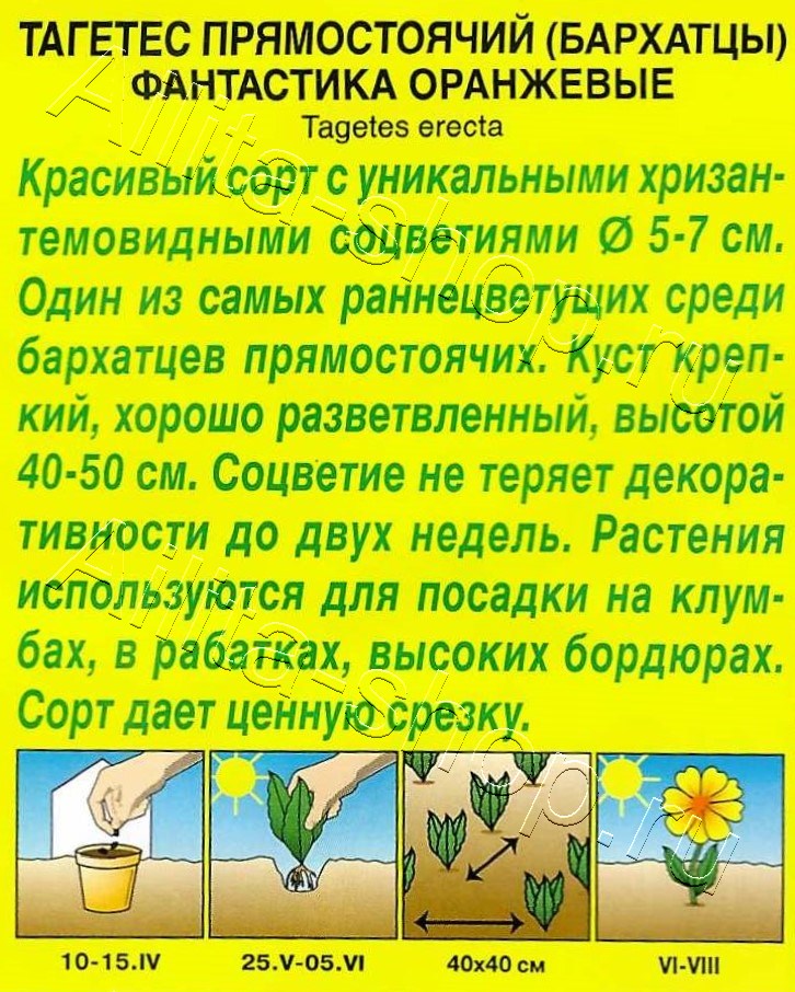 Бархатцы Фантастика оранжевые 0,1г