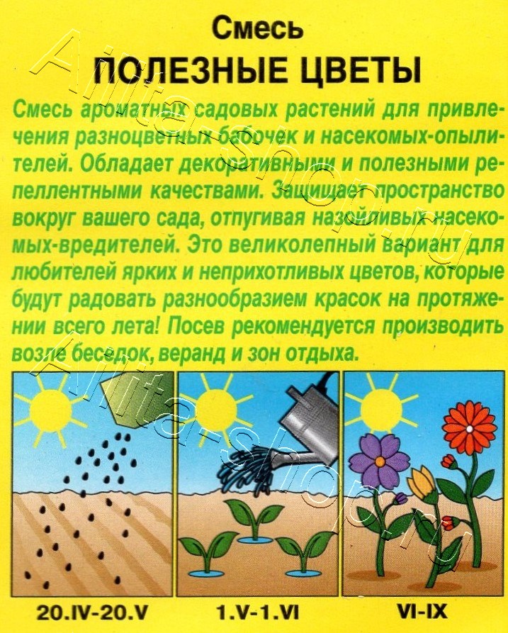 Смесь Полезные цветы 2г