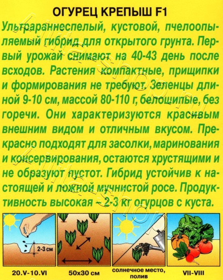 Огурец Крепыш F1 10шт