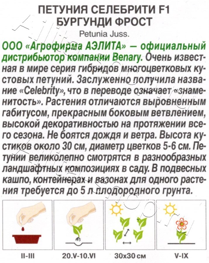 Петуния Селебрити F1 бургунди фрост многоцветковая 7шт