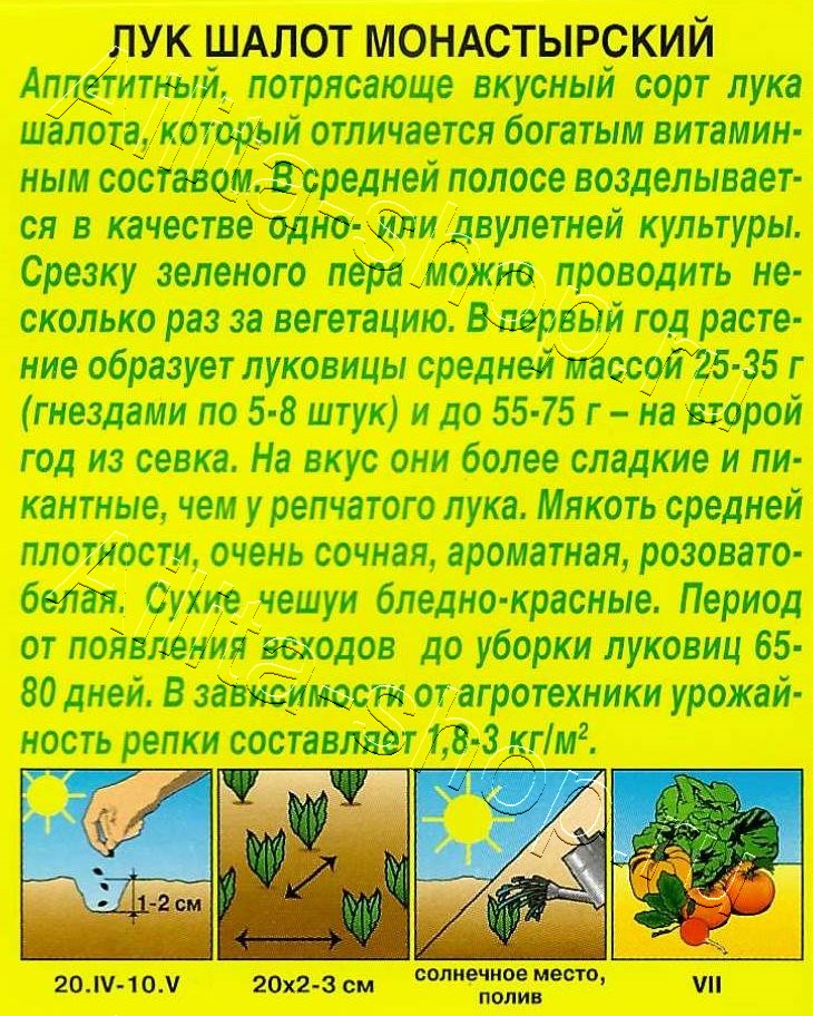 Лук шалот Монастырский 0,3г