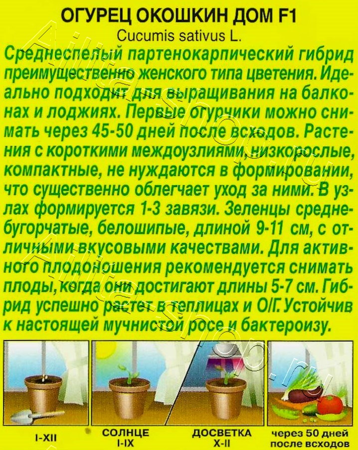 Огурец Окошкин дом F1 5шт