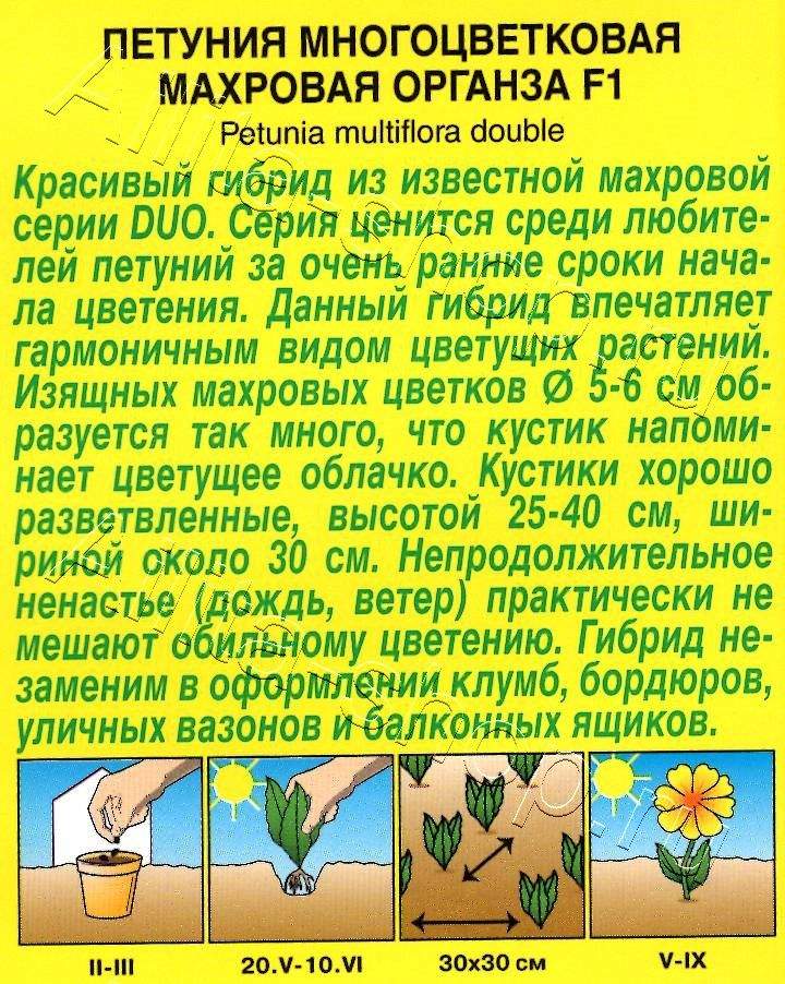 Петуния Органза F1 многоцветковая махровая 10шт