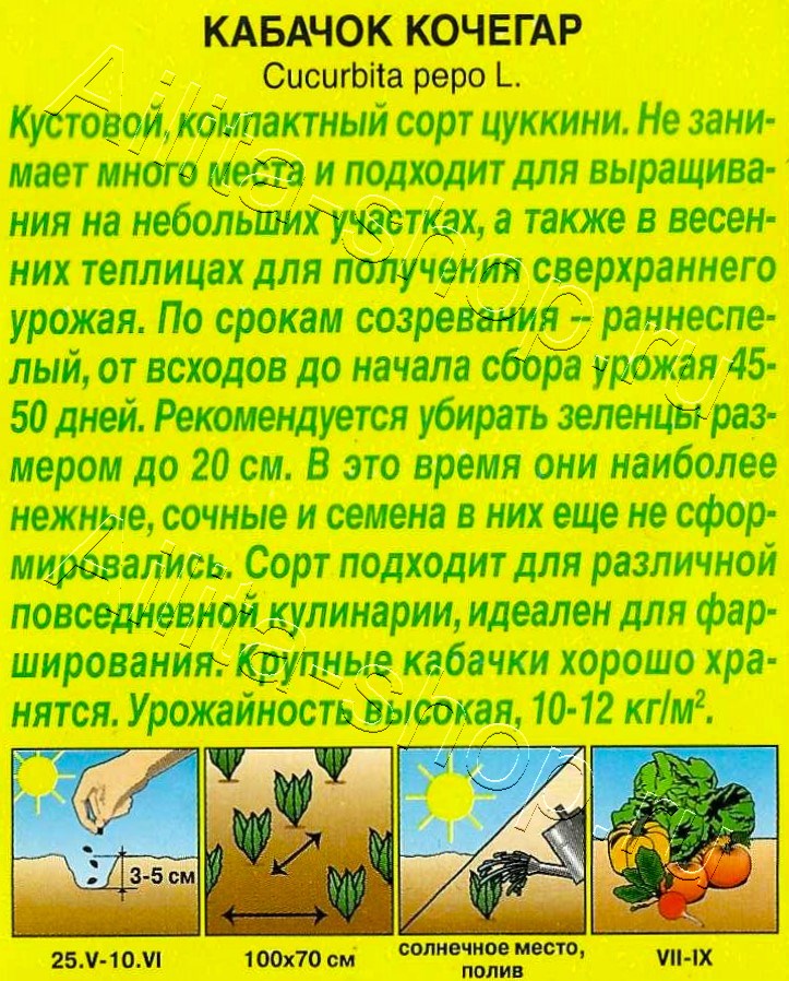 Кабачок цуккини Кочегар 1г