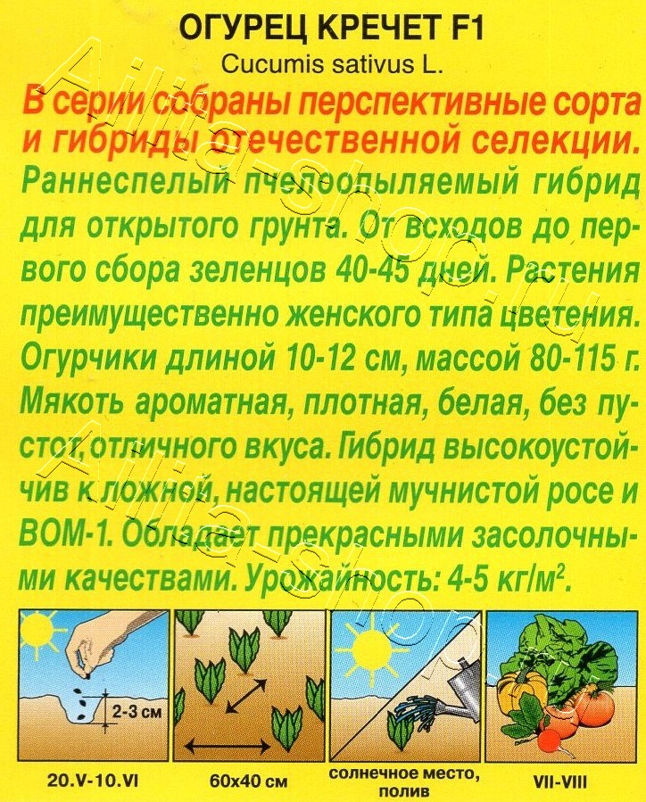 Огурец Кречет F1 10шт