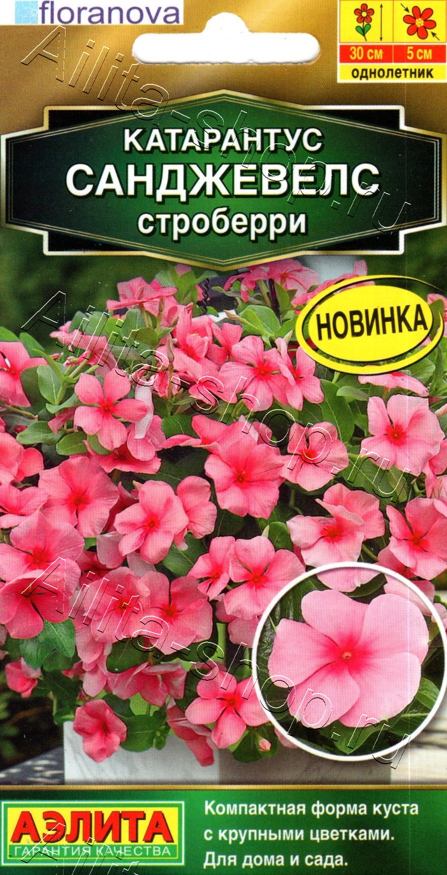 Катарантус Санджевелс строберри 7шт