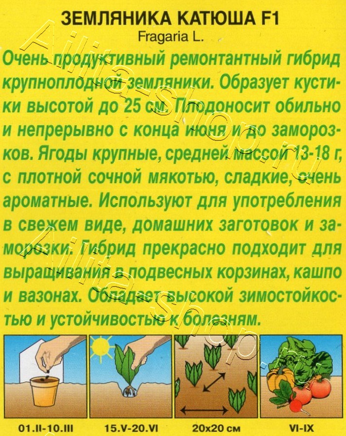 Земляника Катюша F1 10шт