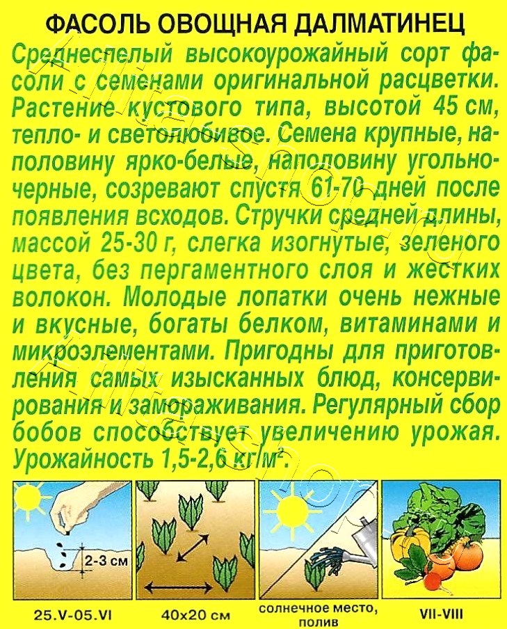 Фасоль овощная Далматинец 5г