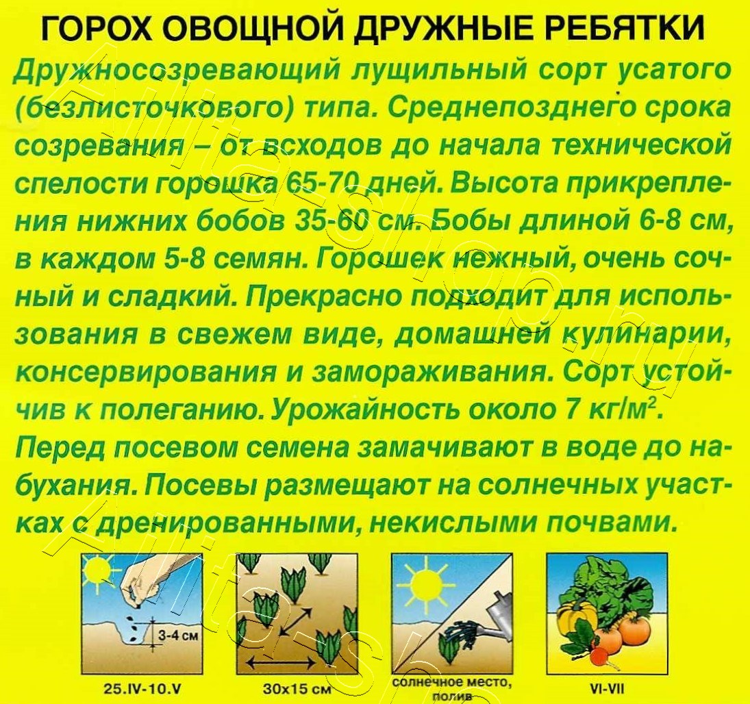 Горох овощной Дружные ребятки 25г