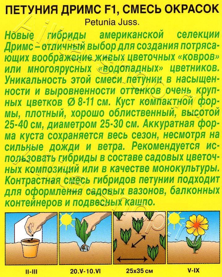 Петуния Дримс F1 крупноцветковая, смесь окрасок 10шт