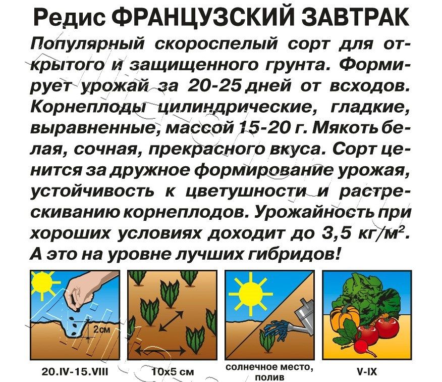 Редис Французский завтрак 3г