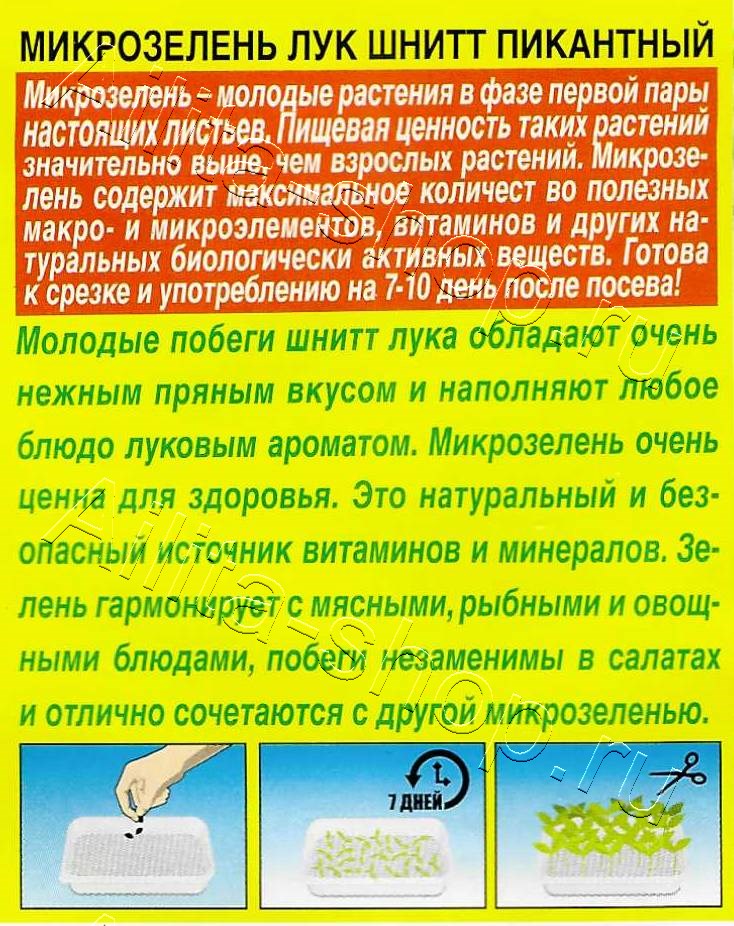 Микрозелень Лук шнитт Пикантный 2г