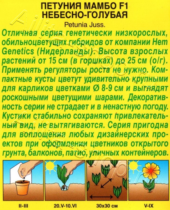 Петуния Мамбо F1 небесно-голубая 7шт