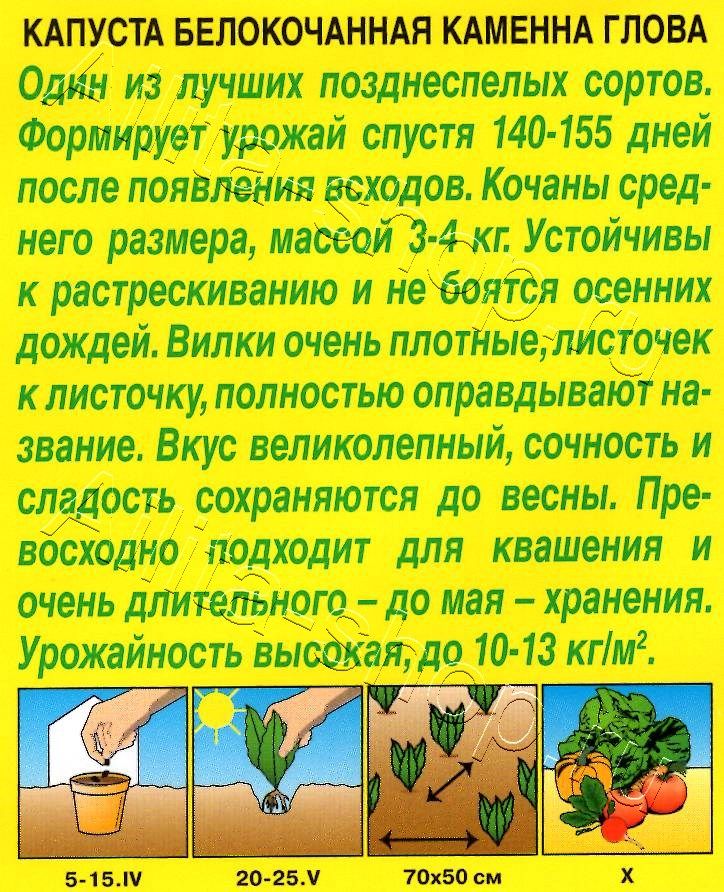 Капуста белокочанная Каменна глова 0,3г