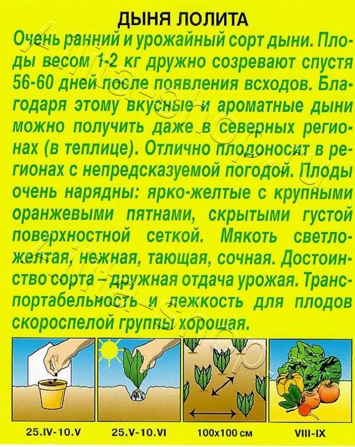 Дыня Лолита 1г