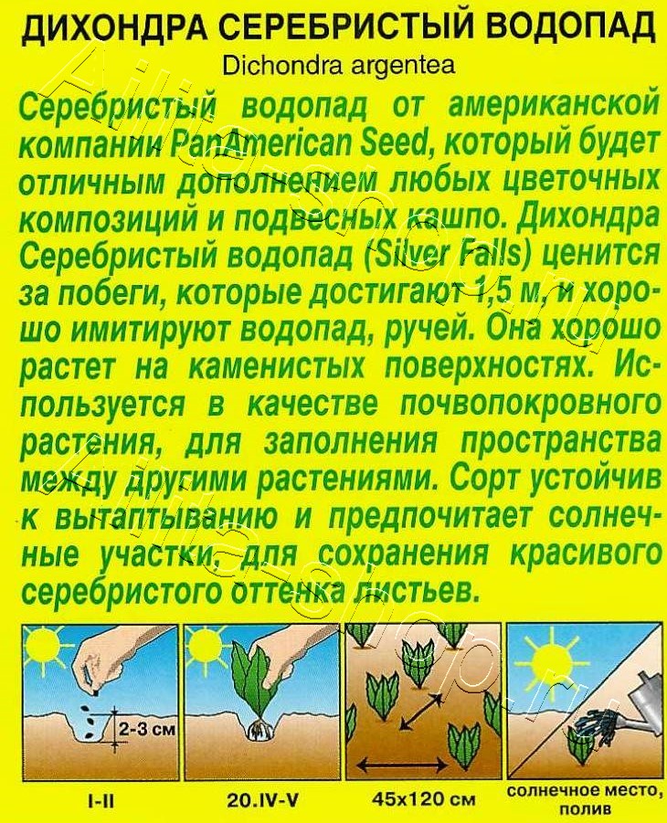 Дихондра Серебристый водопад 3шт