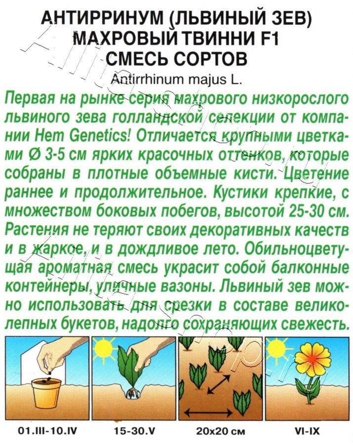 Львиный зев махровый Твинни F1, смесь окрасок 10шт