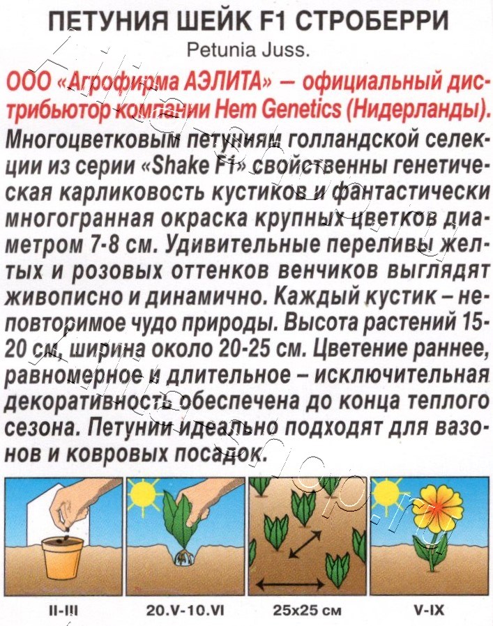 Петуния Шейк F1 строберри 5шт