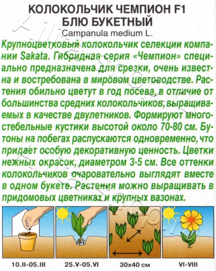 Колокольчик Чемпион F1 блю букетный 4шт